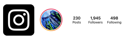 Backcountry Addicts Instagram Followers